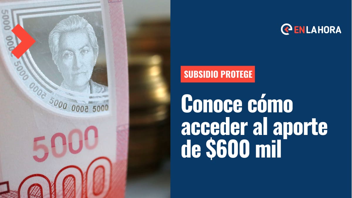 Subsidio Protege: Revisa hasta cuándo podrás solicitar el aporte de $600 mil y cómo pedirlo