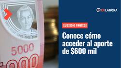 Subsidio Protege: Revisa hasta cuándo podrás solicitar el aporte de $600 mil y cómo pedirlo