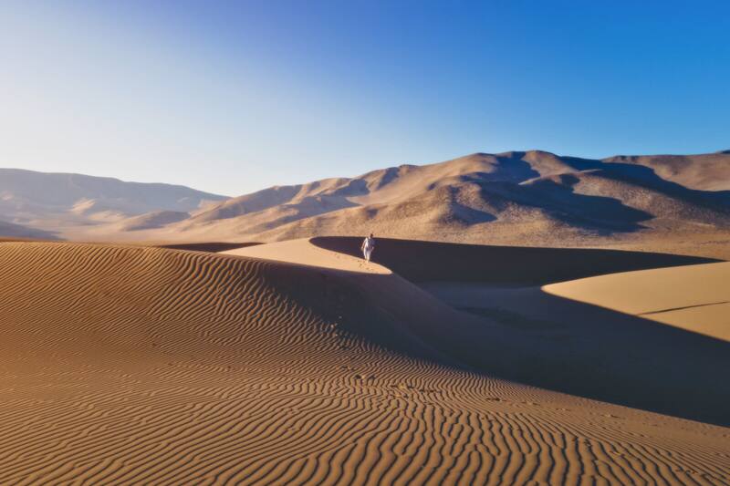 Un infaltable en la Región de Atacama. Créditos: chile.travel.