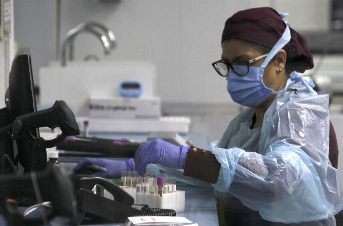 OMS descartó el origen del Covid-19 en un laboratorio y posterior propagación: Se barajan teorías