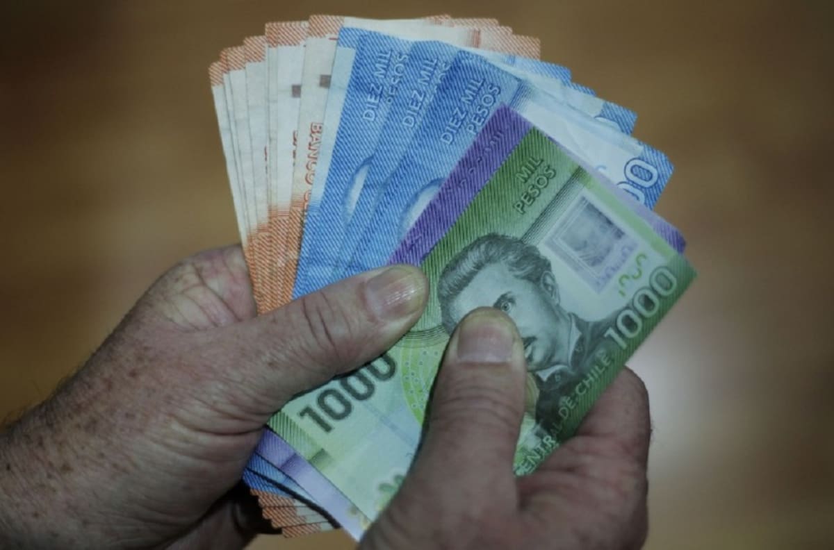 Cómo y hasta cuándo puedo cobrar el Ingreso Familiar de Emergencia con mi Rut