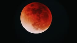 Luna de Sangre 2026: Día y horario para ver el fenómeno astronómico en Chile