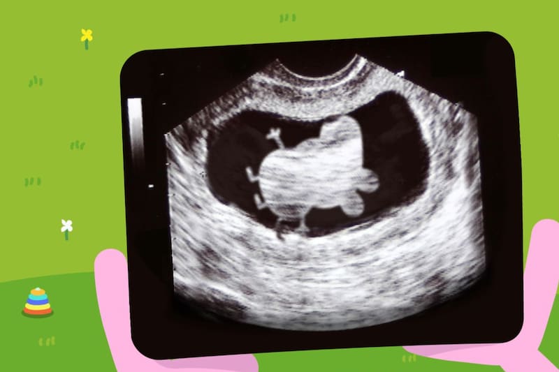 La caricatura infantil ha entretenido a niños por 20 años.