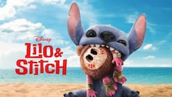 Lilo & Stitch 2025: ¿Cuándo llega a los cines y dónde comprar las entradas?
