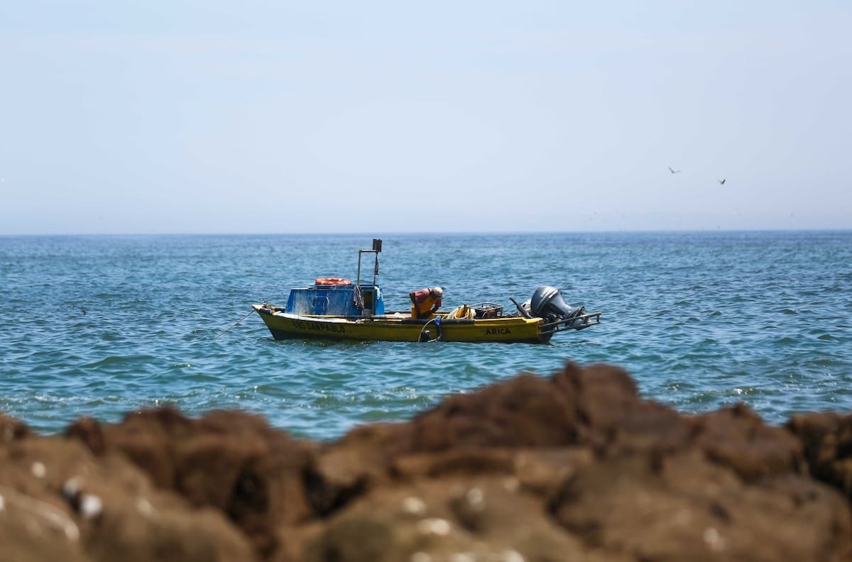 Alerta de tsunami: Cancelan todos los estados de amenaza de maremoto del país