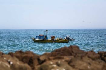 Alerta de tsunami: Cancelan todos los estados de amenaza de maremoto del país
