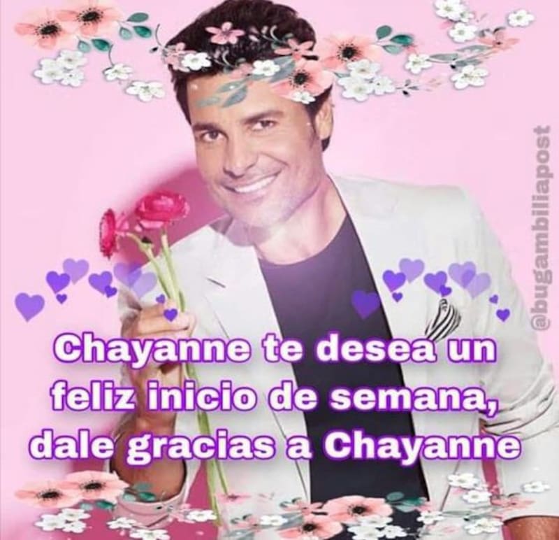 Envía a Chayanne por WhatsApp para que sea un gran día o noche. Créditos: Pinterest.