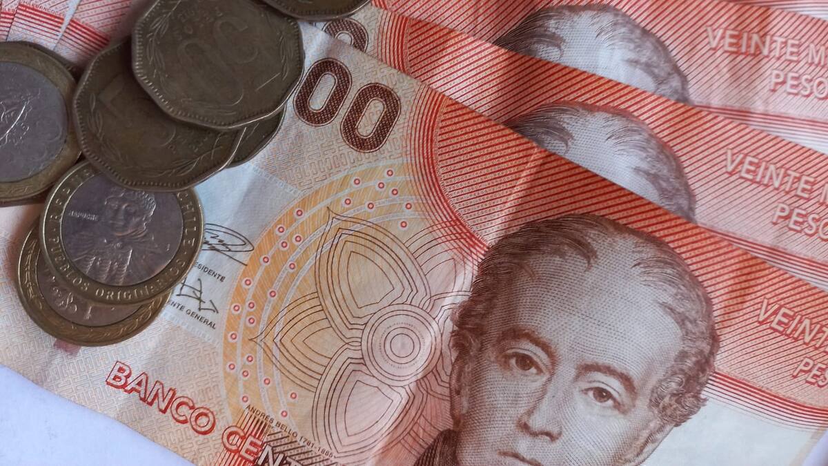 Reajuste del sector público: Cámara despacha a ley el aumento del 12% de los sueldos de los trabajadores
