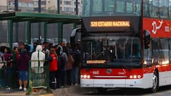 Red Movilidad tendrá buses de apoyo este domingo 19 de octubre por final del Mundial Sub-20: Estos son los recorridos que serán reforzados