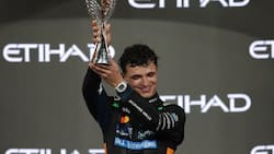 Polémica definición del título de Fórmula 1: ¿Lando Norris debió ser sancionado en Abu Dabi?