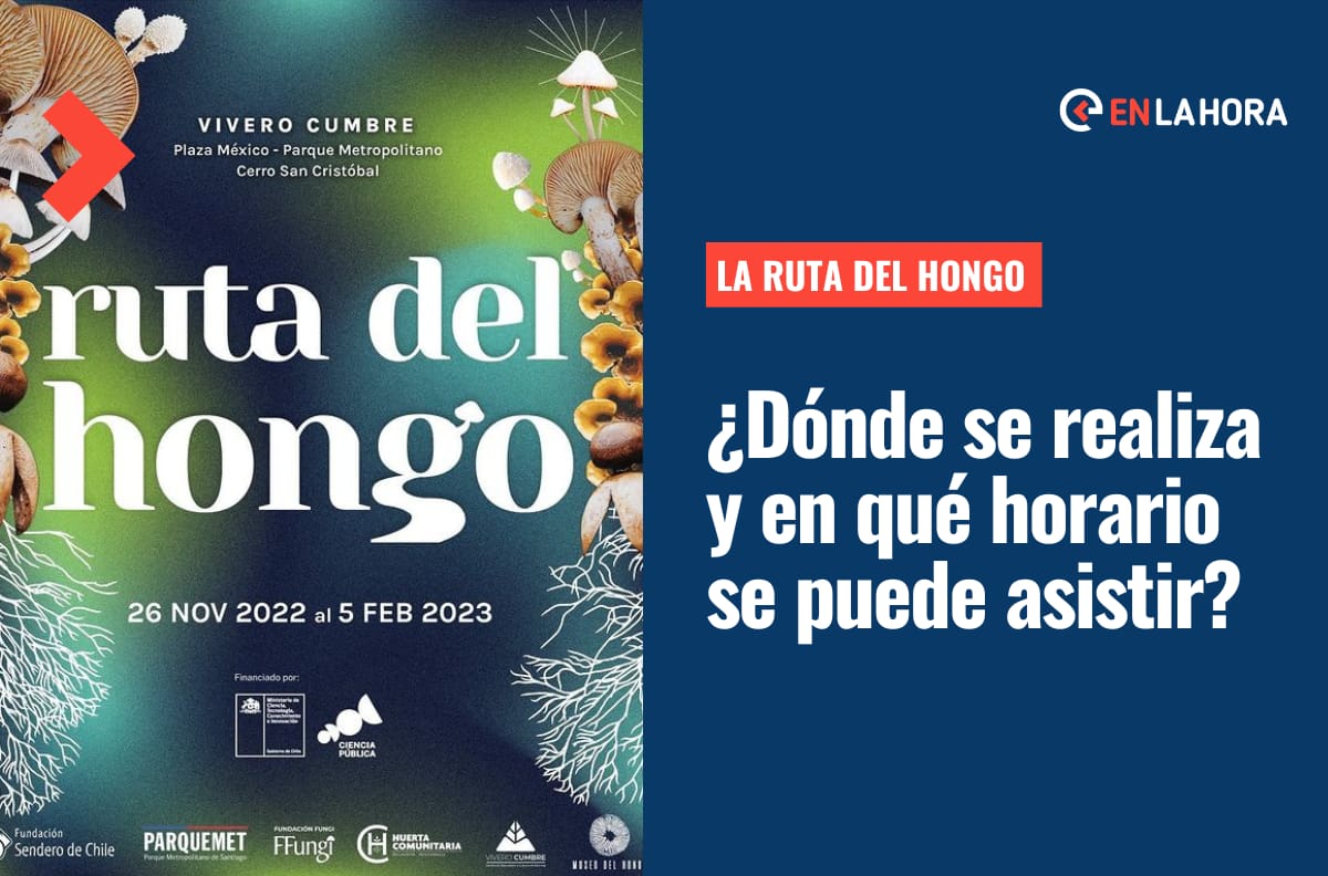 Ruta del Hongo: ¿En qué consiste este recorrido guiado por los senderos del Parque Metropolitano?