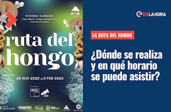 Ruta del Hongo: ¿En qué consiste este recorrido guiado por los senderos del Parque Metropolitano?