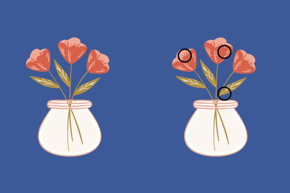 Aquí están reveladas las 3 diferencias de los floreros.
