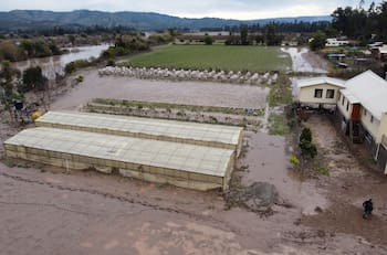Gobierno compromete $20 mil millones para agricultores afectados por lluvias