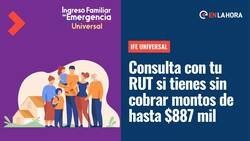 IFE Universal: ¿Cómo revisar con tu RUT si tienes pagos pendientes de hasta $887 mil?