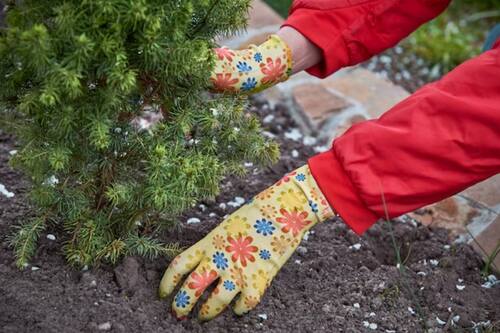 ¿Cómo mantener mis plantas durante el invierno?