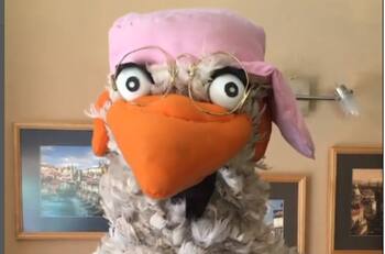 "Goguémiga": Canal 13 mantiene batalla legal por inscribir el nombre de Guru Guru contra empresa multimedia