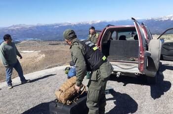 Tres chilenos fueron detenidos en intento por ingresar municiones por paso no habilitado