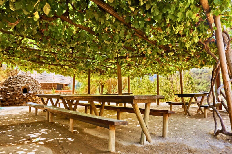 Las zonas de picnic cuentan con mesas y parrillas perfectas para disfrutar del aire libre. Créditos: Santuario de la Naturaleza El Arrayán.