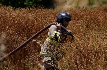 Mujer quemó el auto de su pareja y provocó foco de incendio en la Región de Los Ríos