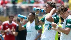 VIDEO: Por esto se suspendió el partido de Palmeiras en el Mundial de Clubes