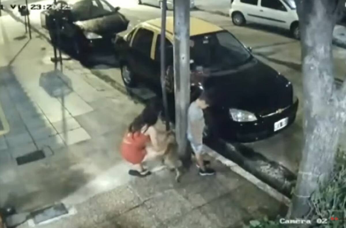 VIDEO | Mujer amarró en poste a un cachorro y lo dejó abandonado a solo minutos de Navidad