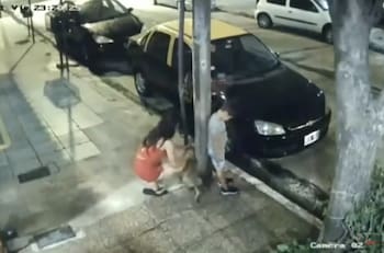 VIDEO | Mujer amarró en poste a un cachorro y lo dejó abandonado a solo minutos de Navidad