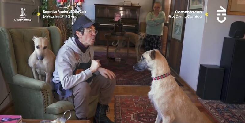 Junto a sus queridas mascotas / CHV