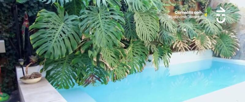 La piscina de su patio / CHV