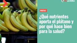 Plátano: ¿Qué nutrientes aporta, cuáles son sus beneficios y por qué hace bien para la salud?