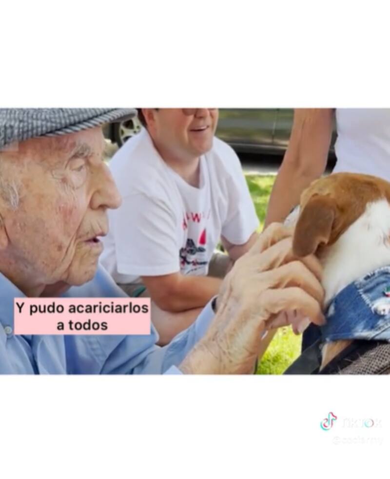 Este abuelito cumplió 100 años rodeado de lomitos.
