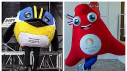 Desafío hecho: los Juegos Olímpicos invitan a Fiu a enfrentarse a Phryge, la mascota de París 2024