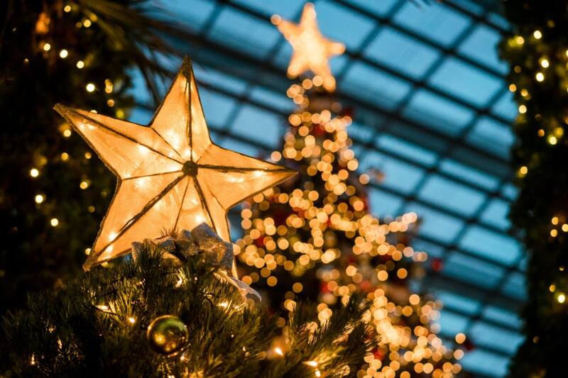 Aunque cueste creerlo, si bien es considerada una festividad cristiana, los orígenes de la Navidad como la conocemos tiene más bien un origen pagano.