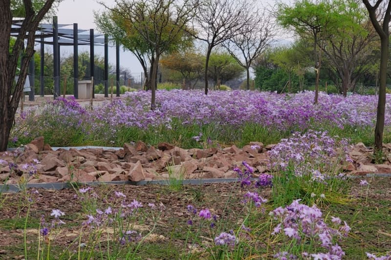 Este recinto es ideal para pasear en las tardes de verano.