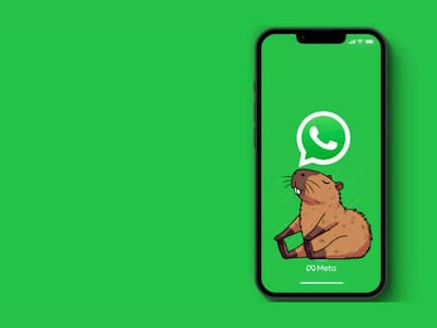 ¿Modo capibara en WhatsApp? Así puedes activarlo en tu Android o iPhone
