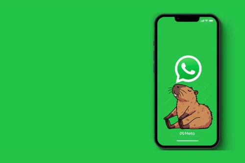 ¿Modo capibara en WhatsApp? Así puedes activarlo en tu Android o iPhone