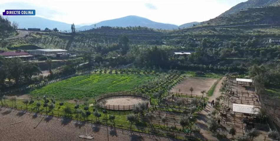 La fundación Felipe Camiroaga se instala hoy en su casa. Créditos: Pantallazo Mega