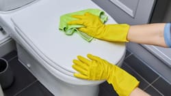 Adiós a los químicos: Con tres productos puedes preparar este eficiente limpiador de baños casero