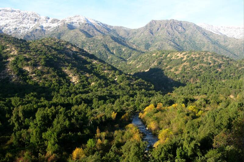 Conoce cómo acceder a la entrada gratuita en los diferentes parques nacionales del país.