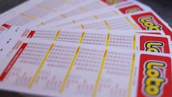 Resultados del sorteo 5387 del Loto: Hay 16 ganadores de $188.960 este domingo