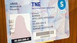 ¡Último día!: Este lunes vence el plazo para renovar la TNE