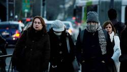 Ola de frío: decretan "alerta agrometeorológica" para siete regiones del país