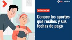 Beneficios IPS: Solo con tu RUT conoce los aportes que recibes además de las fechas y formas de pago