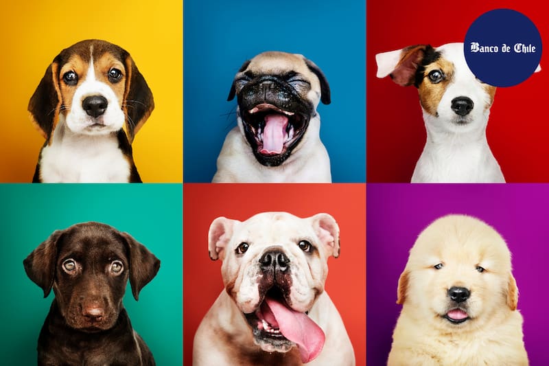 Conoce cómo obtener este beneficio.