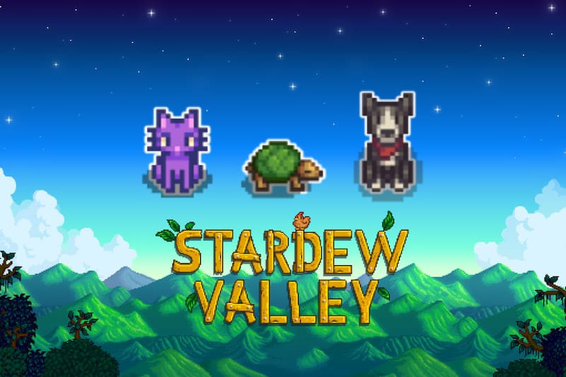 ¡Ahora hay casas de mascotas!