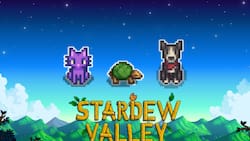 Stardew Valley: ¿Cómo tener más de una mascota en tu granja?