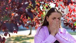 Especialistas aclaran mitos y verdades sobre alergia de otoño: ¿Sirve el propóleo? ¿Se puede dejar de tener la condición?