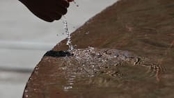 Meteochile decreta aviso meteorológico por altísimas temperaturas: este día habrá 33°C en la RM