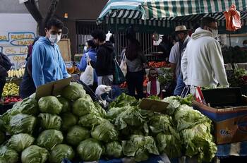 Pago adelantado del IFE Universal: mira la fecha de pago y monto a recibir con tu RUT