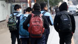 Comenzaron las inscripciones al Sistema de Admisión Escolar 2026: ¿Hasta cuándo estarán abiertas las postulaciones?